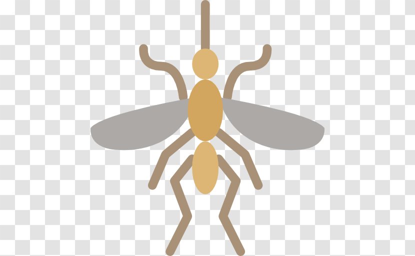 Mosquito Honey Bee Vector Control Clip Art - Arthropod Transparent PNG