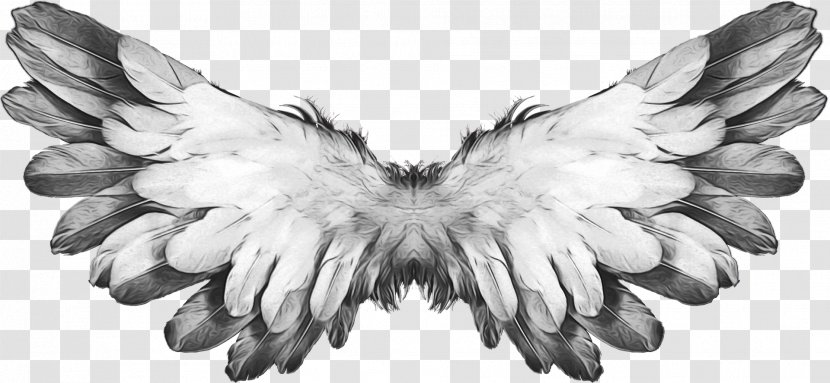 Angel Cartoon - Feather - Blackandwhite Transparent Transparent PNG