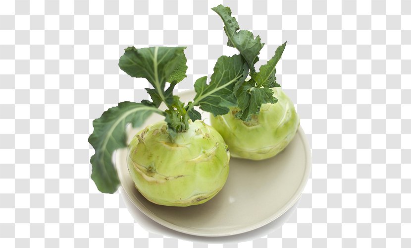 Kohlrabi Brassica Juncea Chinese Broccoli Vegetable Seed - Cyan Kale Head Transparent PNG