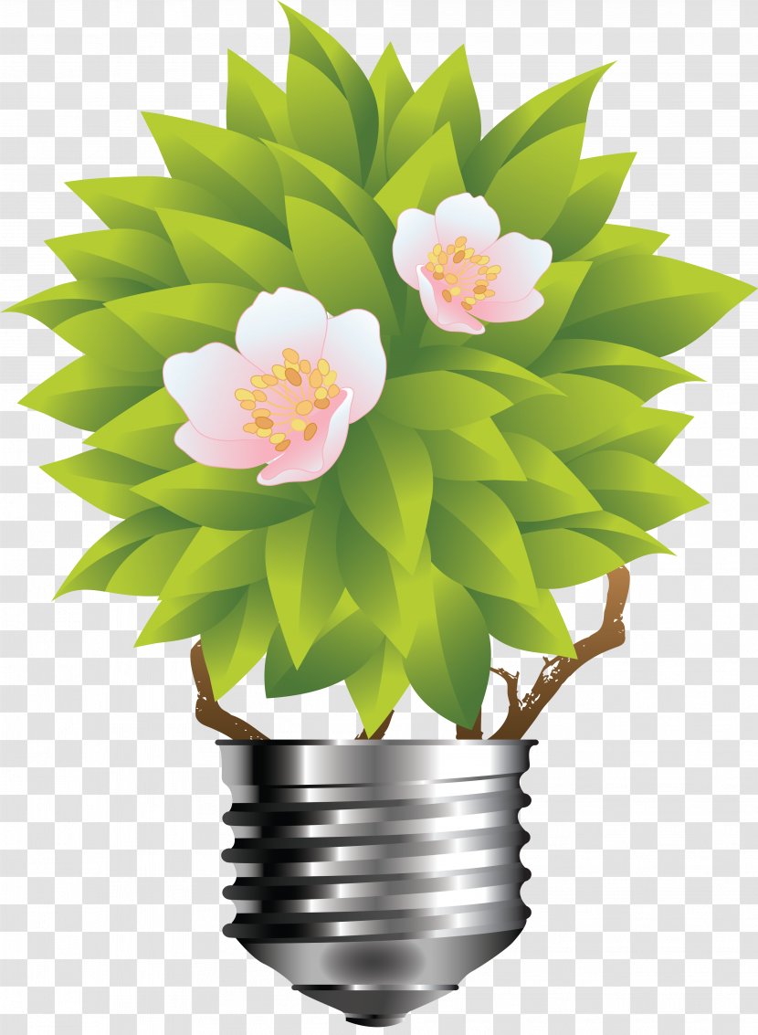 HTML Email Template Marketing Bulk Software - Flowering Plant Transparent PNG
