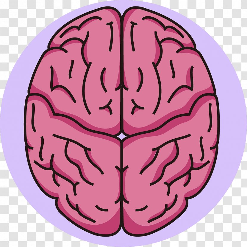 Forebrain Clip Art Neurology - Tree - Brain Business Transparent PNG