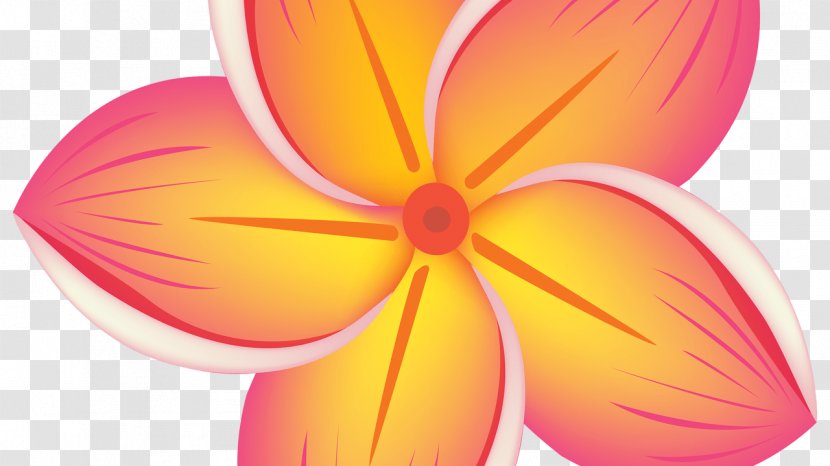 Clip Art Flower Image Floral Design - Petal Transparent PNG