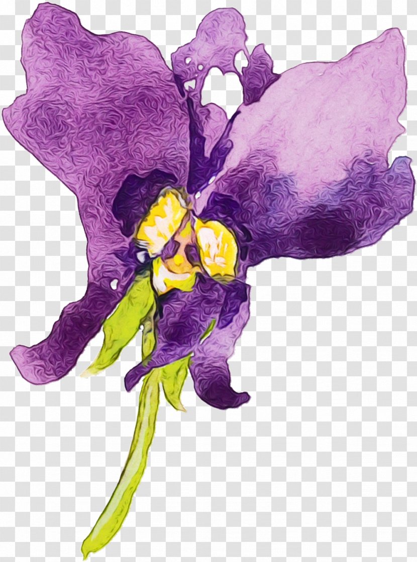 Violet Purple Flower Plant Watercolor Paint - Family Viola Transparent PNG