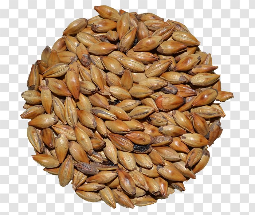 Cereal Germ Whole Grain Spelt Seed - Beer Brewing Grains Malts Transparent PNG