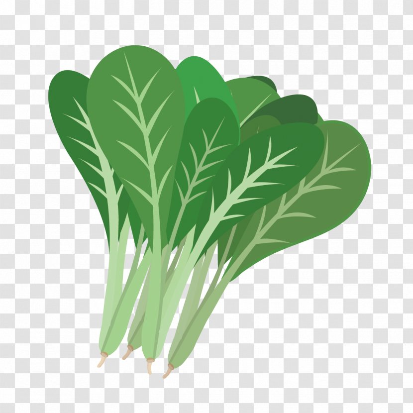 Komatsuna Leaf Vegetable Seasonal Food - Condominium - Mustard Transparent PNG