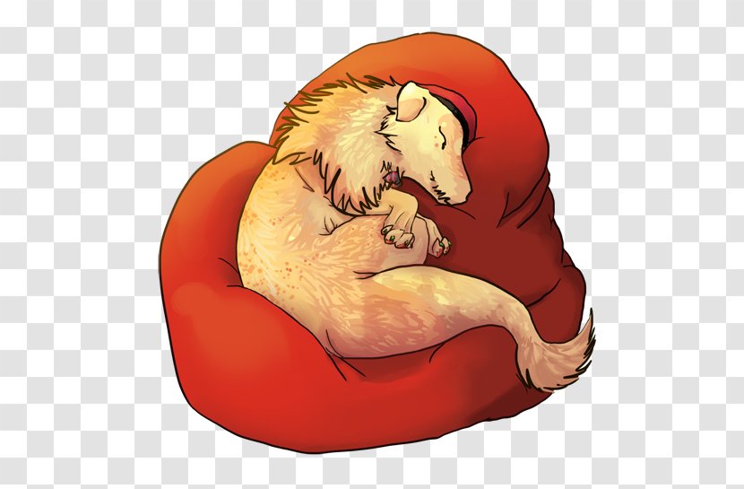 Bear Cat Cartoon Character - Mammal Transparent PNG