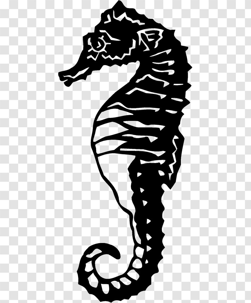 Seahorse Photography Art Clip - Syngnathiformes Transparent PNG