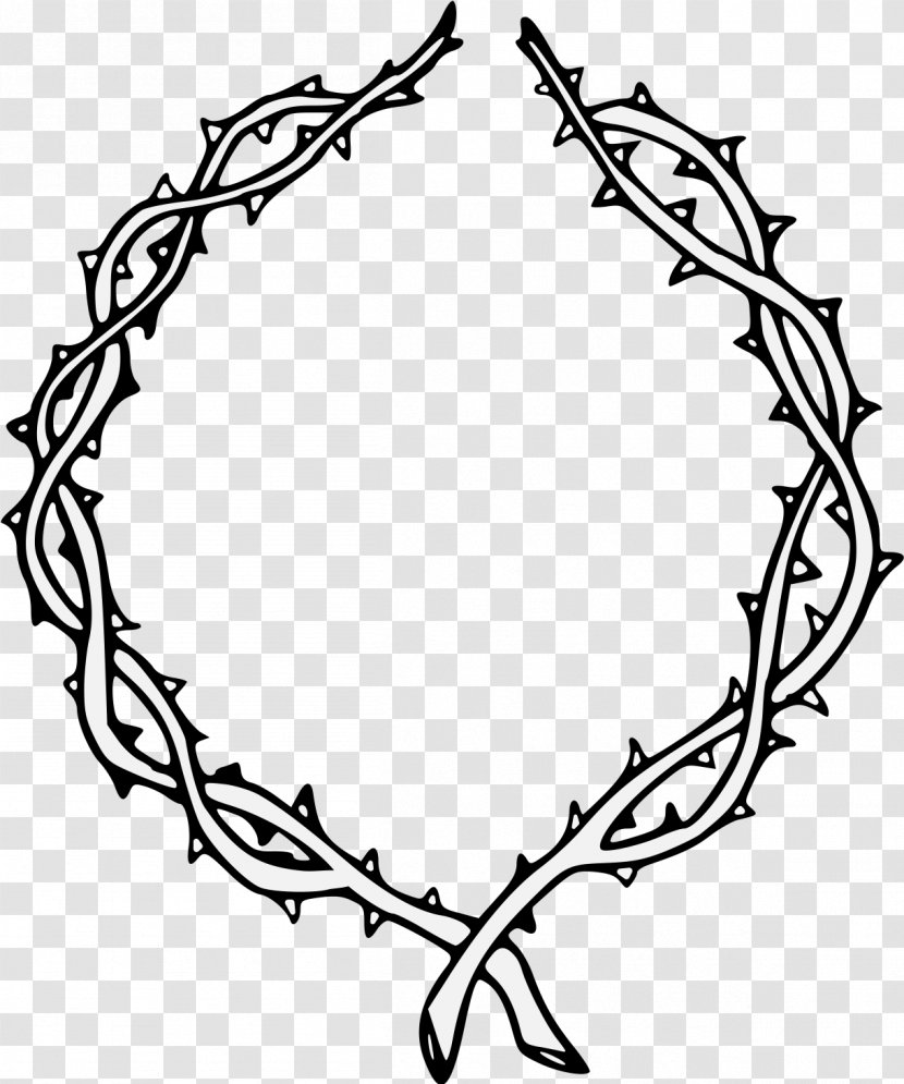 Drawing Thorns, Spines, And Prickles Clip Art Illustration Image - Crown Of Thorns - Espinas Transparent PNG