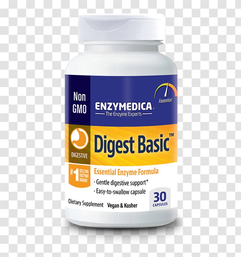 Dietary Supplement Digestive Enzyme Digestion Probiotic - Food Transparent PNG