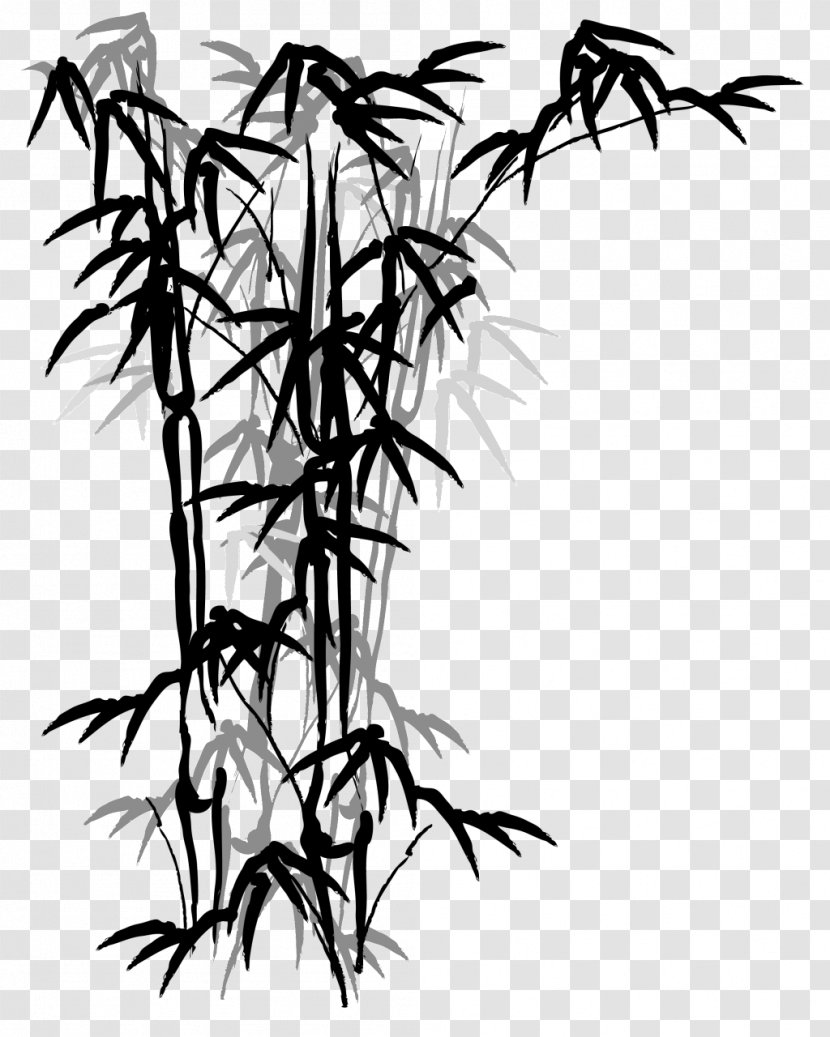 Tropical Woody Bamboos Bamboo Painting Drawing Fargesia Murielae - Ink Chinese Transparent PNG
