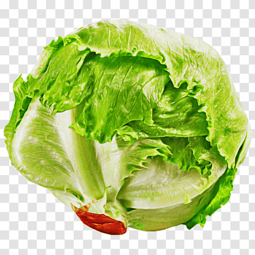 Leaf Vegetable Lettuce Vegetable Iceburg Lettuce Food Transparent PNG