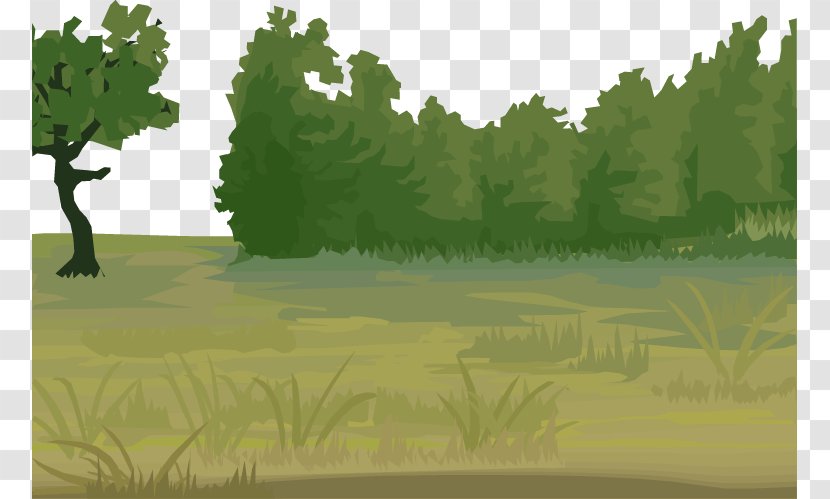Vegetation Euclidean Vector Meadow - Biome - Painted Grass Transparent PNG