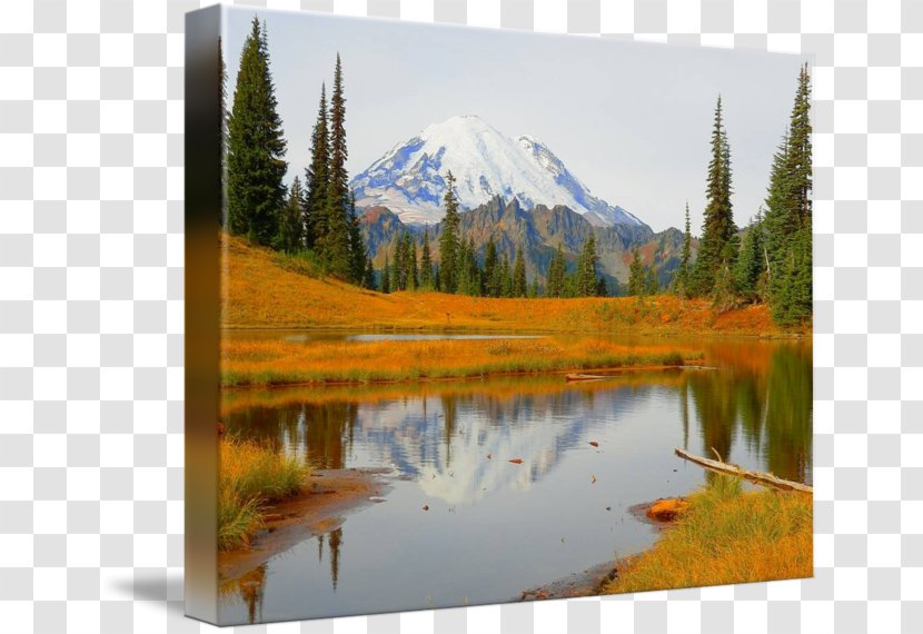 Tipsoo Lake Ecosystem Nature Reserve National Park - Water Resources - Autumn Beauty Transparent PNG
