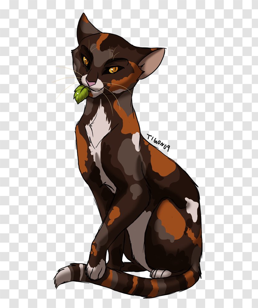 Medicine Cat Warriors Kitten Firestar - Artisan Spirit Transparent PNG