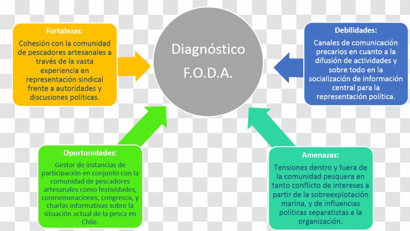SWOT Analysis Organizational Diagnostics Medical Diagnosis Fishing - Text - FODA Transparent PNG