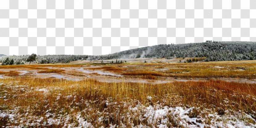 Yellowstone Caldera Landscape Park Tourist Attraction - Wetland - National HD Photography Fig. Transparent PNG
