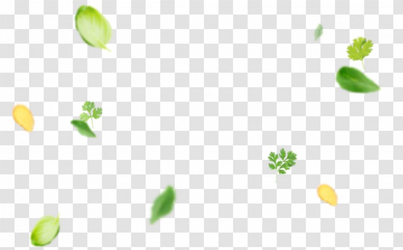 Petal Desktop Wallpaper Leaf - Flora Transparent PNG