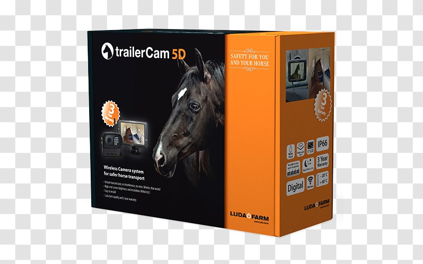 Horse & Livestock Trailers Camera Closed-circuit Television - Brand Transparent PNG