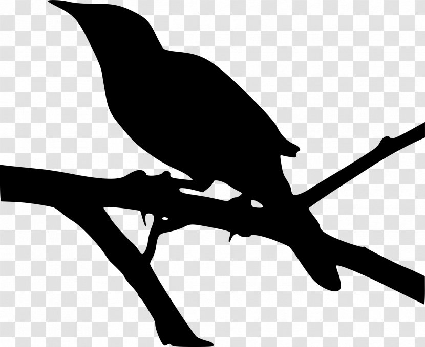 To Kill A Mockingbird Northern Clip Art - Black And White - Tree Silouhette Transparent PNG