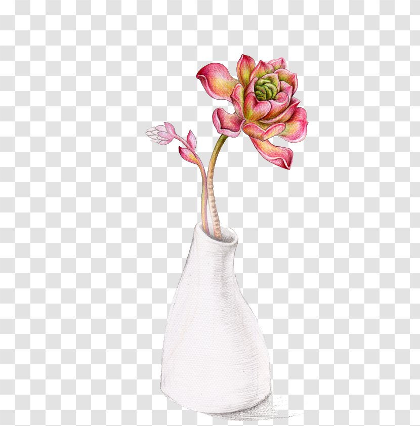 Soil Succulent Plant Vase Euclidean Vector - Pink - Hand-painted Vases Transparent PNG