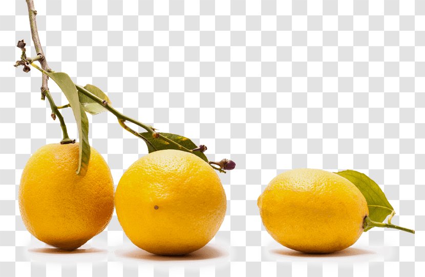 Sweet Lemon Citron Vegetarian Cuisine Food - Sicilian Transparent PNG