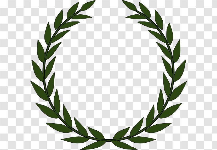 Laurel Wreath Olive Bay Clip Art - Flower - Gold Football Trophy And Ribbons Template Download Transparent PNG