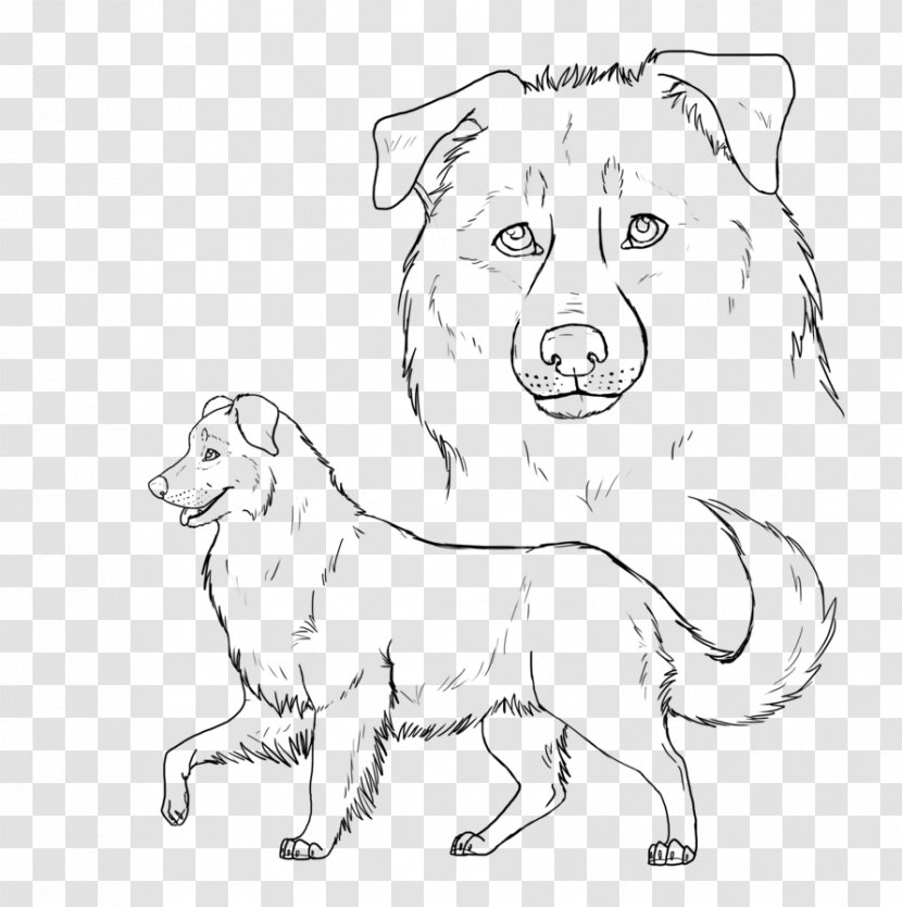 Dog Breed Puppy Australian Shepherd German Line Art - Coloring Book Transparent PNG