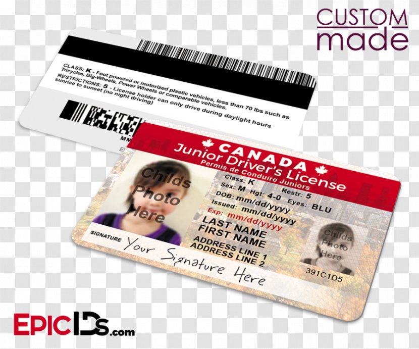 Dwight Schrute Jim Halpert Pam Beesly Dunder Mifflin Identity Document - Canada's Worst Driver Transparent PNG