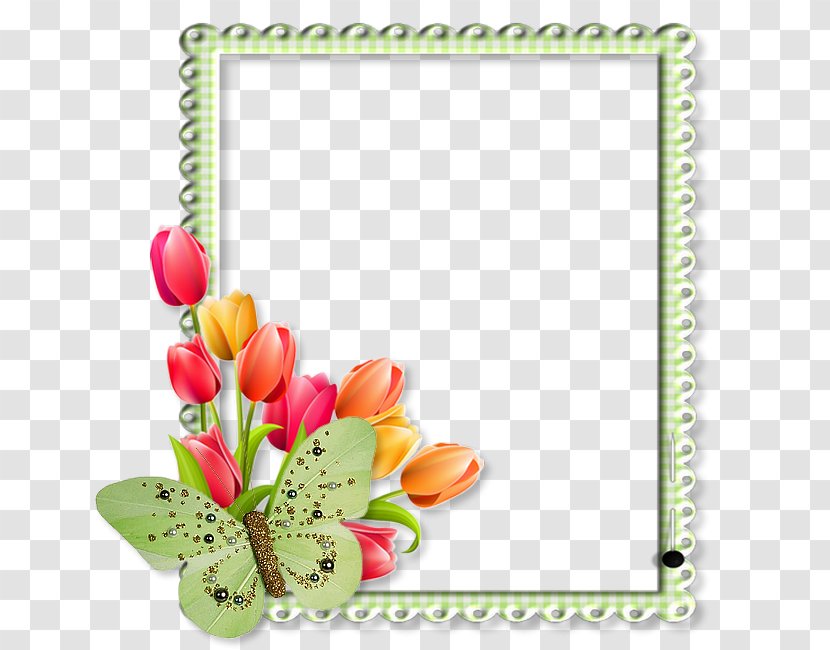 Picture Frames Clip Art - Floral Design - Dyplom Transparent PNG