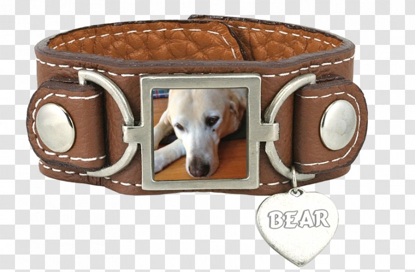 Dog Collar Belt Leash - Charm Bracelet Transparent PNG