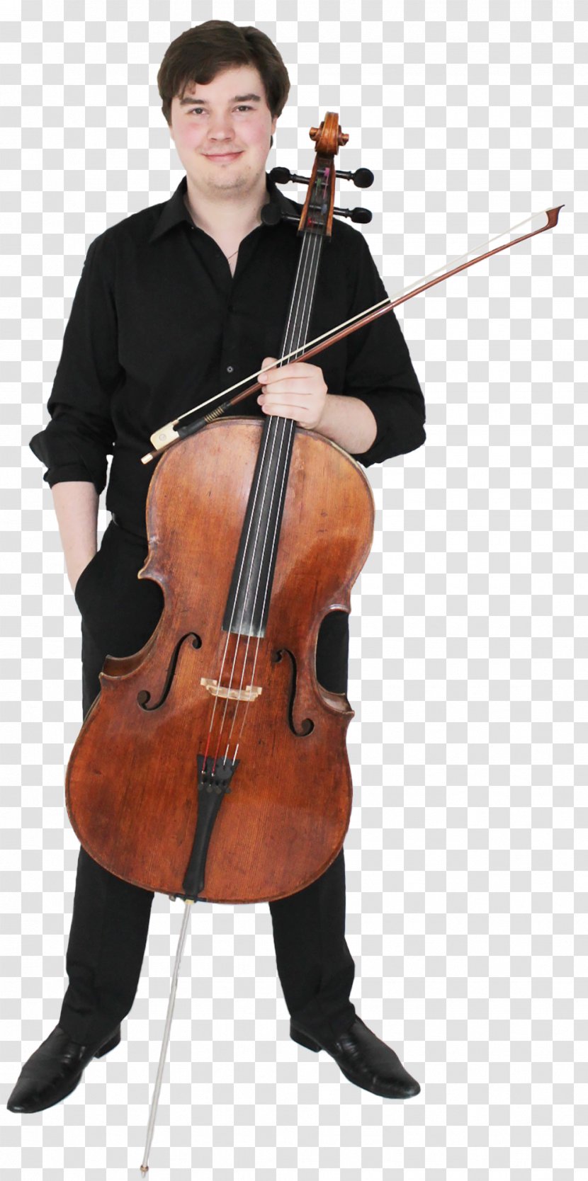 Bass Violin Violone Double Viola Cello - Tree Transparent PNG