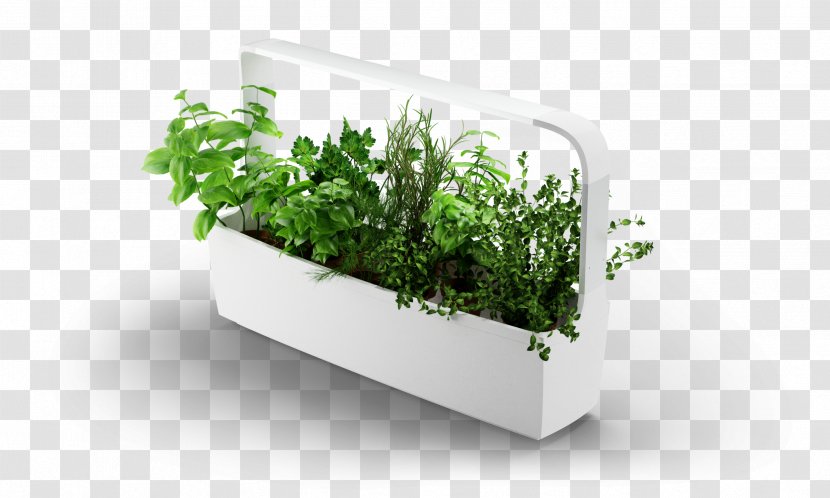 Kitchen Garden Designer - Flowerpot - Design Transparent PNG