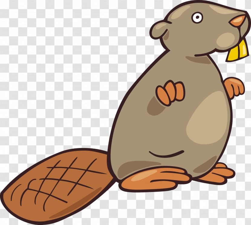 Beaver Drawing Clip Art - Organism - Biscuit Transparent PNG