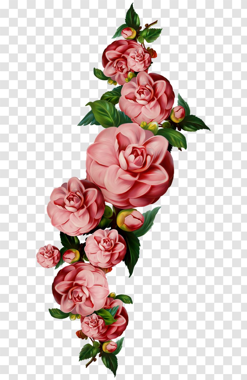 Flower - Hybrid Tea Rose Transparent PNG
