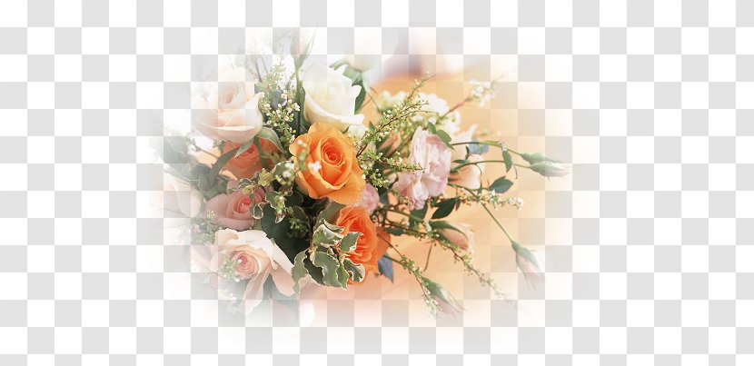 Flower Seed Color Mixing - Floristry Transparent PNG