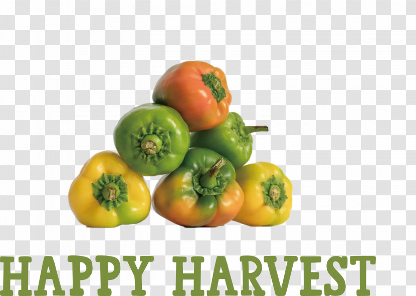 Happy Harvest Harvest Time Transparent PNG