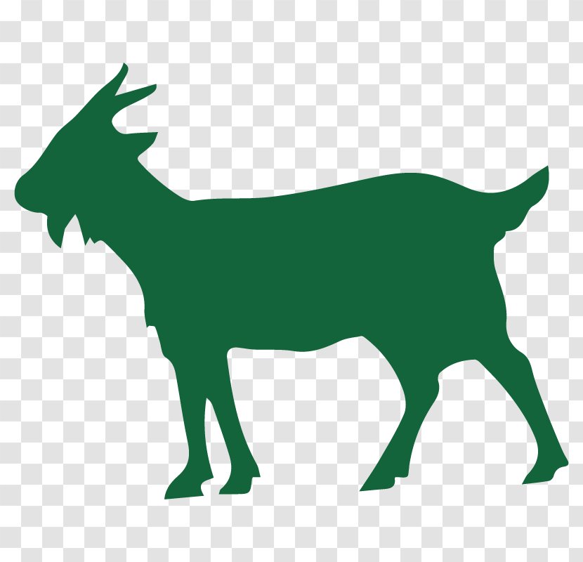 Goat Sheep Pathogen Evolution Mammal - Wildlife Transparent PNG