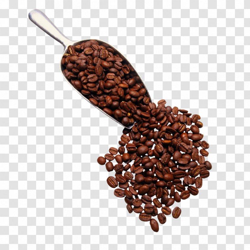 Coffee Espresso Tea Cappuccino Cafe - Mug - Scattered Beans Transparent PNG