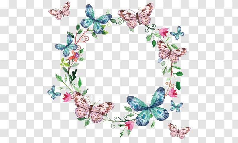 Butterfly Picture Frames Flower Design Scrapbooking - Wing Transparent PNG