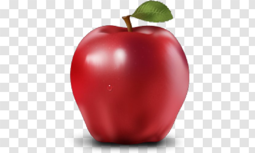 Apple Clip Art - Plant Transparent PNG