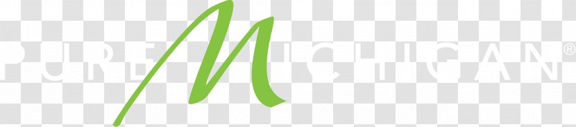 Leaf Logo Green Plant Stem Font - Tie Branch Chaos Transparent PNG