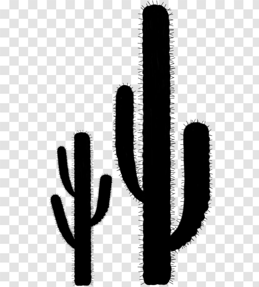 Font Line - Succulent Plant - Cactus Transparent PNG