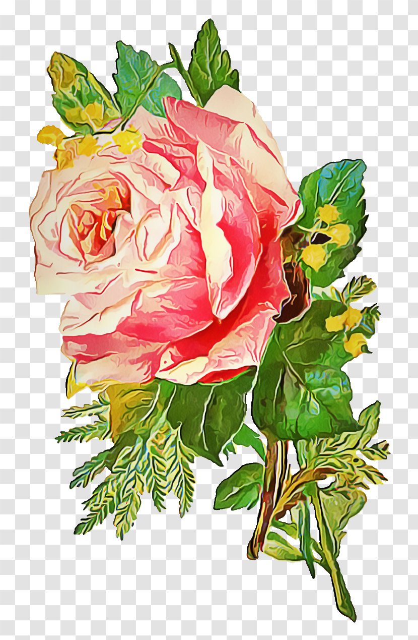 Garden Roses - Watercolor Paint - Bouquet Plant Transparent PNG