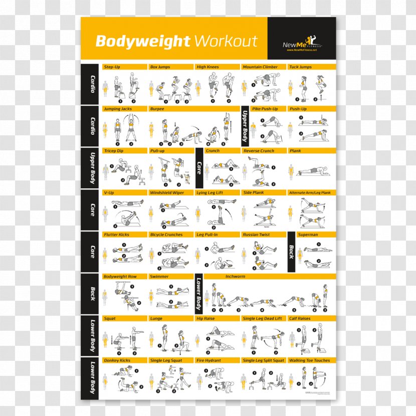 Bodyweight Exercise Personal Trainer Fitness Centre Weight Training - Frame - Laminated Transparent PNG
