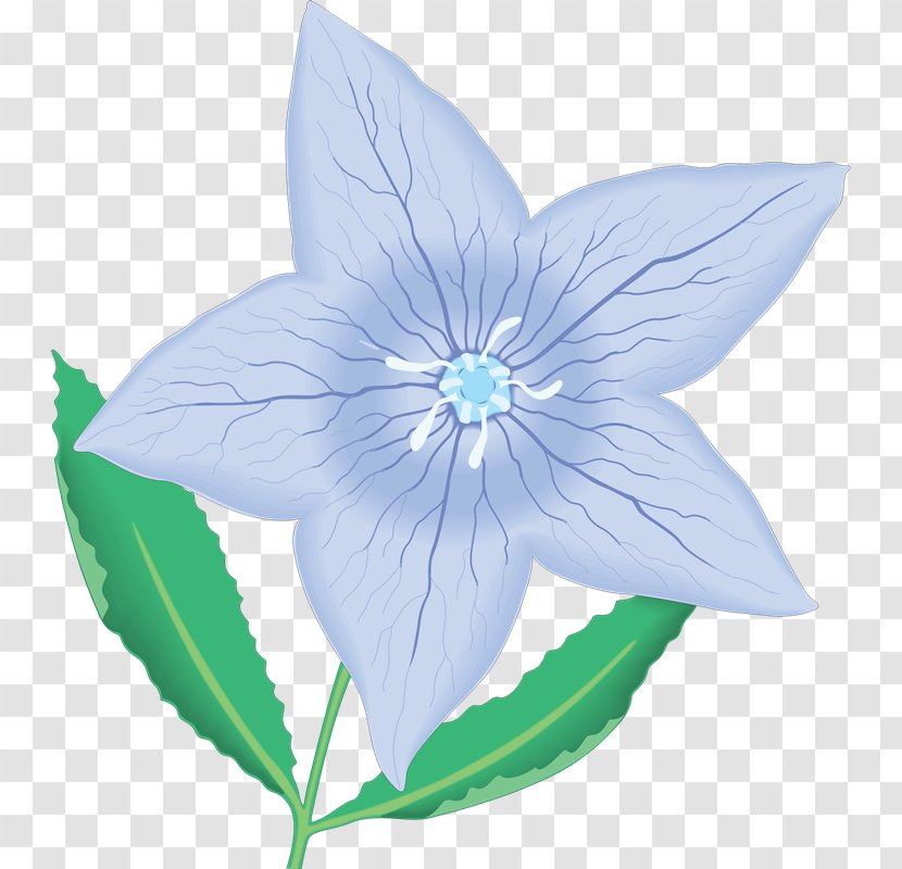 Petal Flower Clip Art - Fy Four Satellite Transparent PNG
