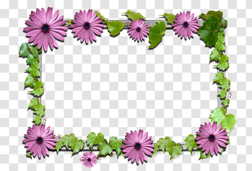 Floral Design Picture Frames Flower - Chrysanths Transparent PNG