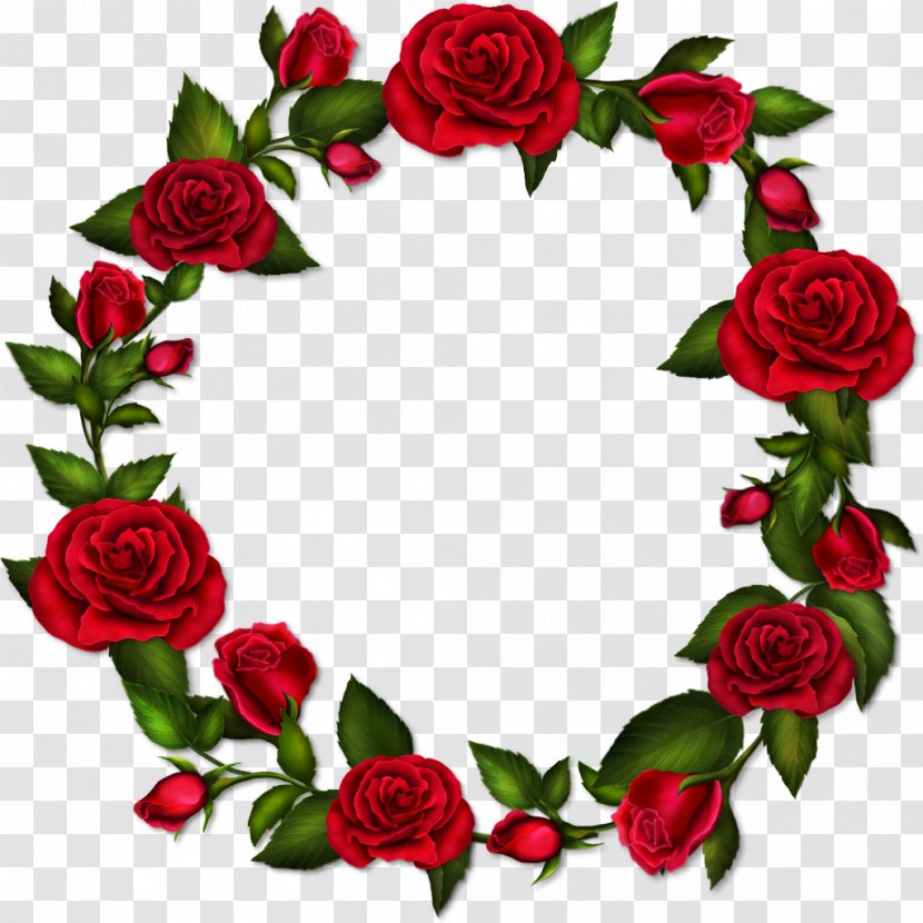 Rose Picture Frames Clip Art - Garden Roses - Ucket Transparent PNG