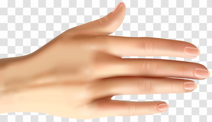 Nail Hand Model Manicure Thumb - Clip Art Transparent PNG