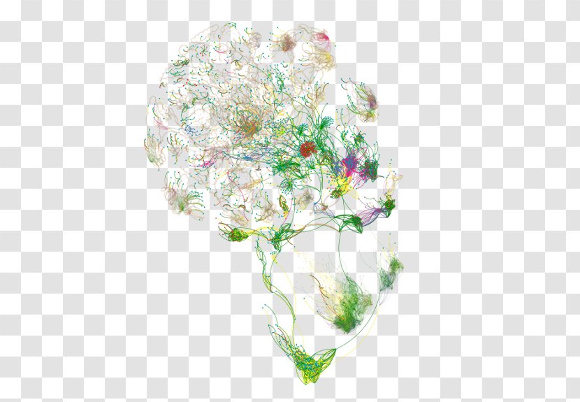 Cancer Landscape Map Floral Design Cut Flowers - Biology - Cell Germ Transparent PNG