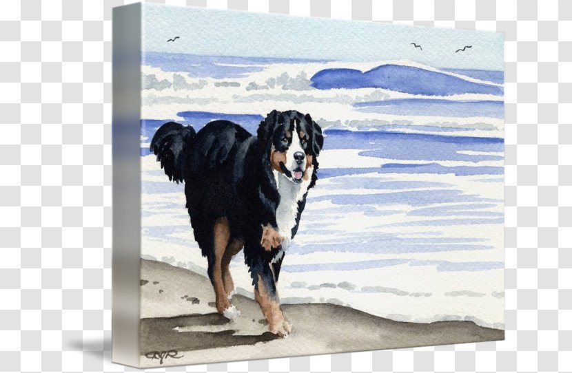 Dog Breed Bernese Mountain Gallery Wrap Art - Canvas Transparent PNG